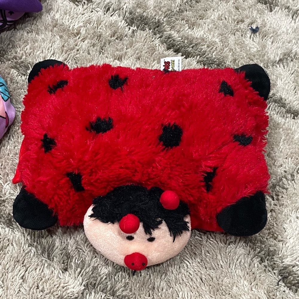 Lady bug pillow